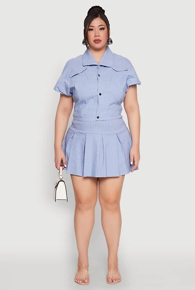 Womens Plus Size Pinstripe Pleated Skirt, Blue, Size 2X