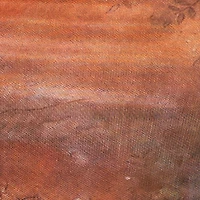 Plus One Shoulder Side Ruched Crop Top