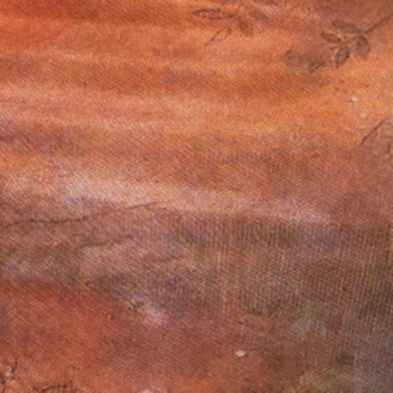 Plus Patterned High Waisted Mesh Maxi Skirt