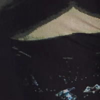 Plus High Waisted Printed Mesh Pants