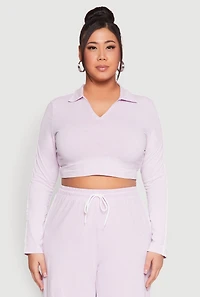 Womens Plus Daisy Mineral Wash Varsity Stripe Crop Top, Purple,