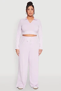 Womens Plus Daisy Mineral Wash Varsity Stripe Crop Top, Purple,