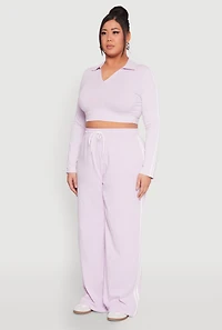 Womens Plus Daisy Mineral Wash Varsity Stripe Crop Top, Purple,