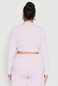 Womens Plus Daisy Mineral Wash Varsity Stripe Crop Top, Purple,