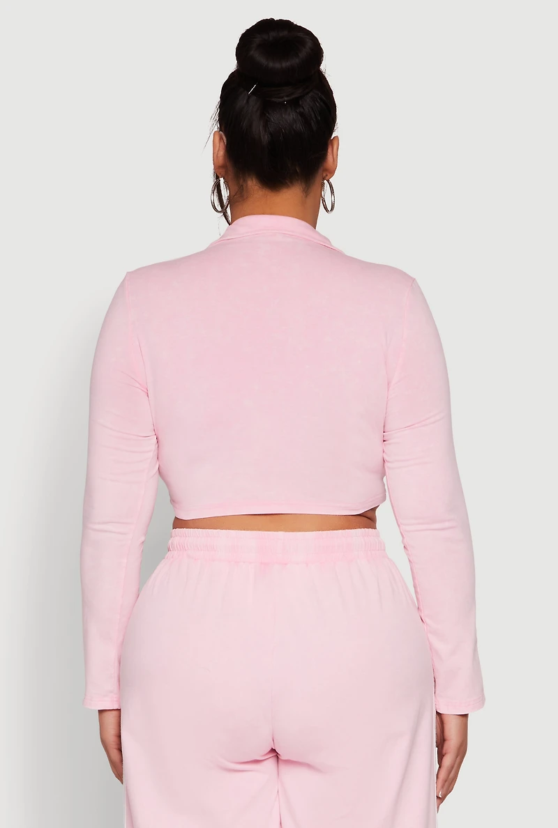 Plus Daisy Mineral Wash Varsity Stripe Crop Top