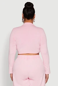 Plus Daisy Mineral Wash Varsity Stripe Crop Top