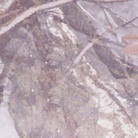 Plus High Waisted Hunter Camo Wide Leg Sweatpants