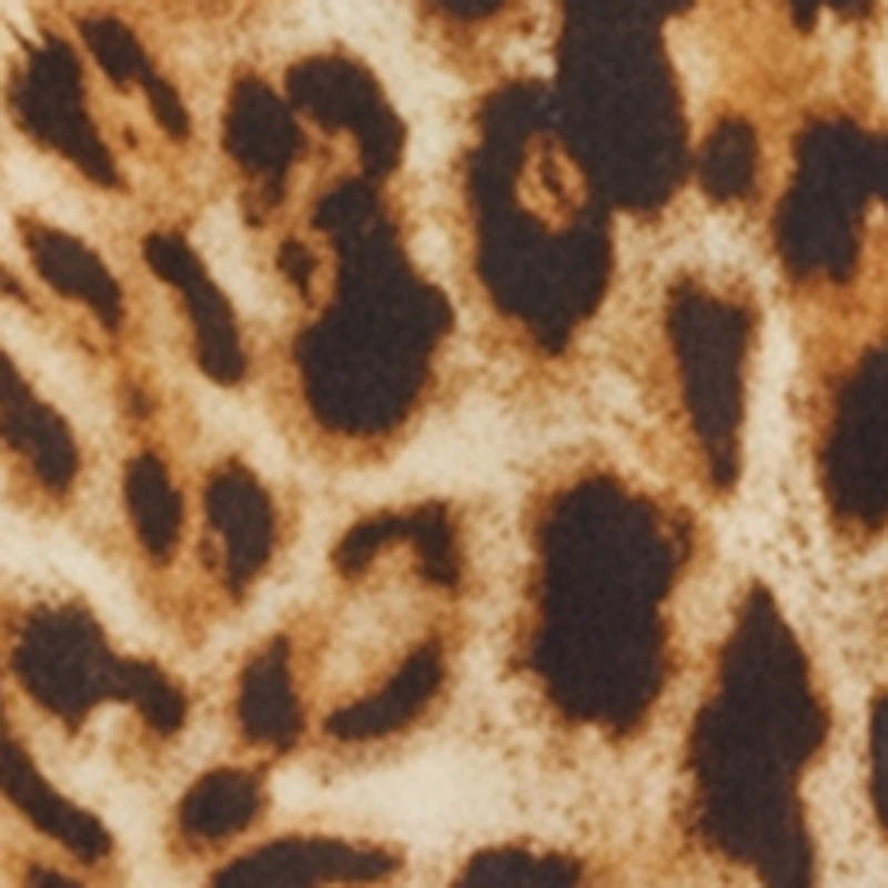 Leopard Print Short Sleeve Tiered Shirt Dress