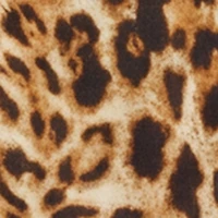 Leopard Print Short Sleeve Tiered Shirt Dress