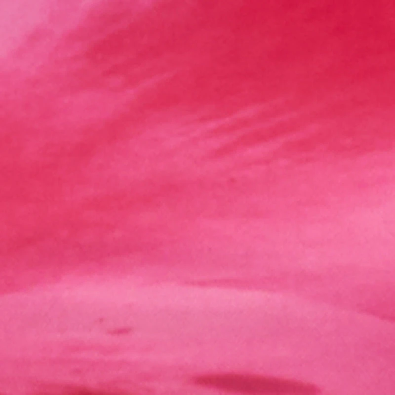 Plus Almost Famous Sleeveless Ruched Floral Maxi Dress