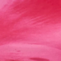 Plus Almost Famous Sleeveless Ruched Floral Maxi Dress