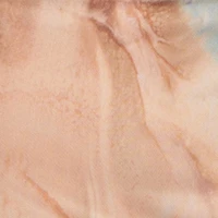 Plus Patterned Mesh Cowl Neck Bustier Dress