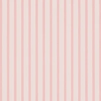 Plus Striped Bear Graphic Pajama Cami and Shorts Set