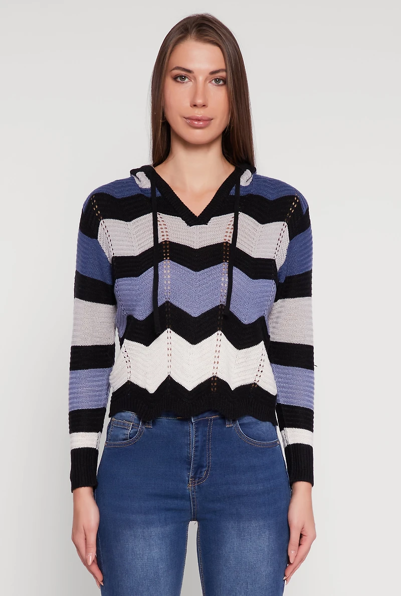 Chevron Pointelle Knit Hooded Sweater