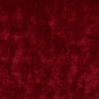 Velvet Long Sleeve Square Neck Crop Top