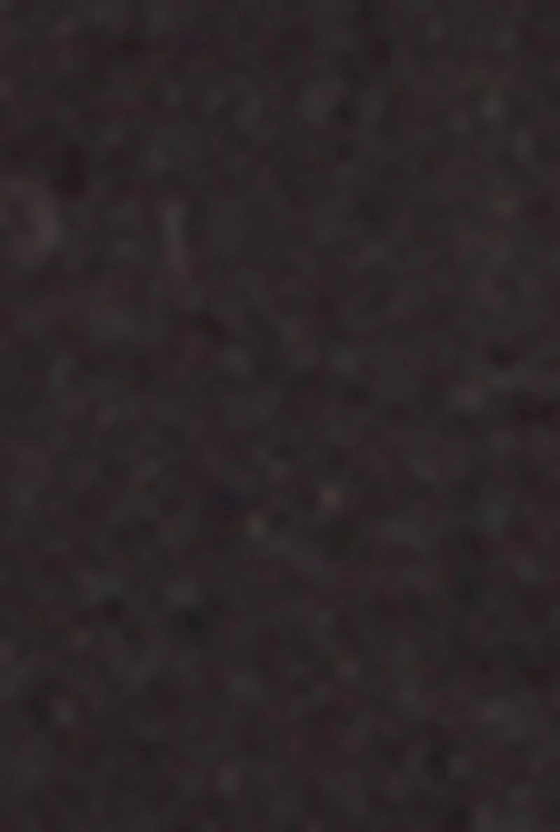 VIP Whiskered Straight Leg Cargo Jeans