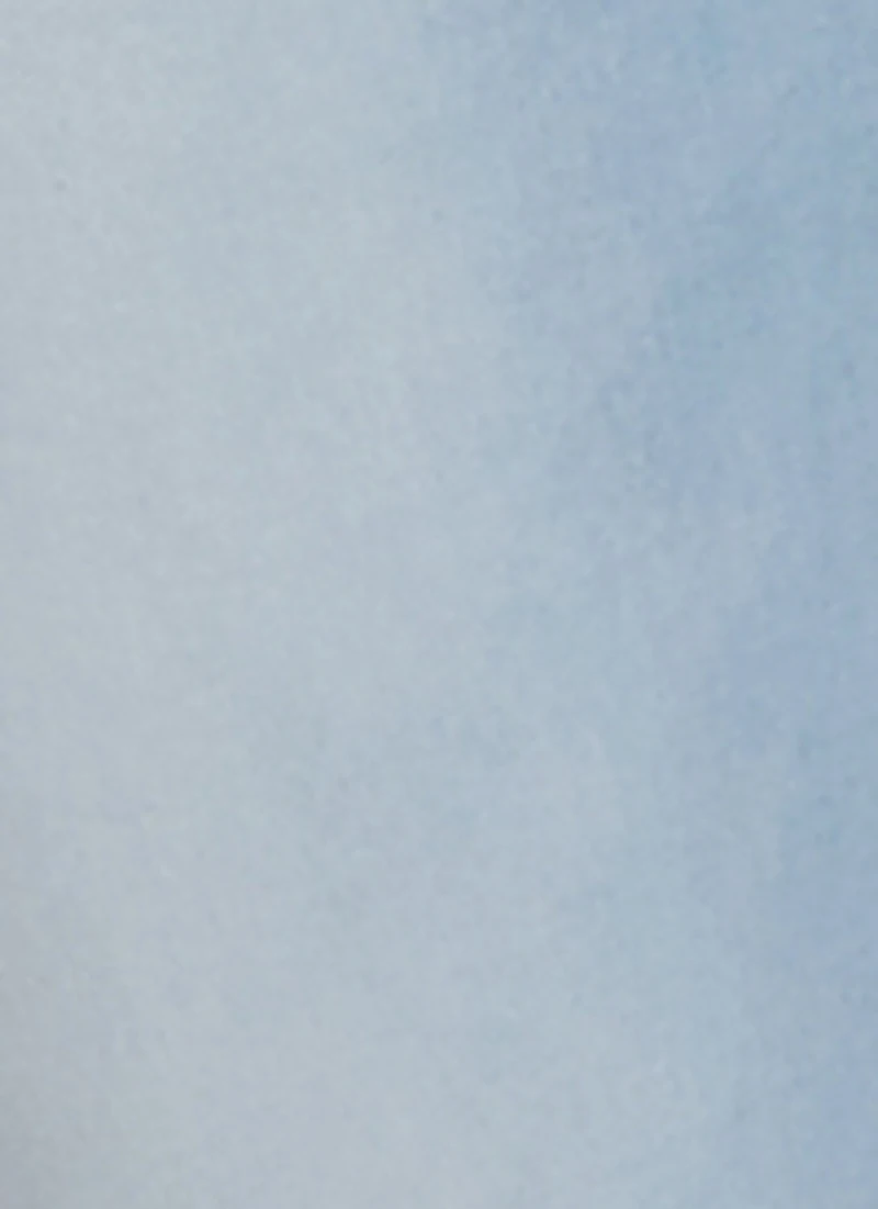 WAX Button Fly Skinny Jeans