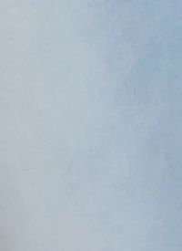 WAX Button Fly Skinny Jeans