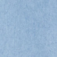 Chambray 1982 NYC Embroidered Patch Graphic Cropped Shirt