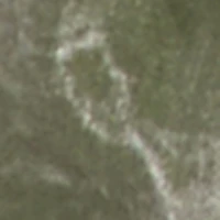 Daisy Denim Strapless Flare Jumpsuit with Cargo Pockets