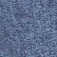 Studded Embroidered Cropped Button Front Denim Jacket