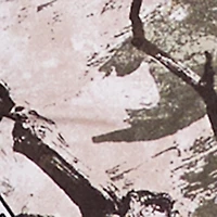 Printed Pattern Stacked Pants