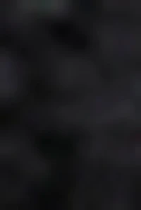 Textured Knit Texting Gloves