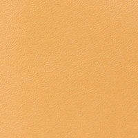Metallic Detail Crossbody Tote Bag