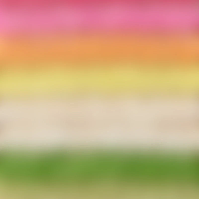 Trendy Multi Color Striped Shoulder Bag