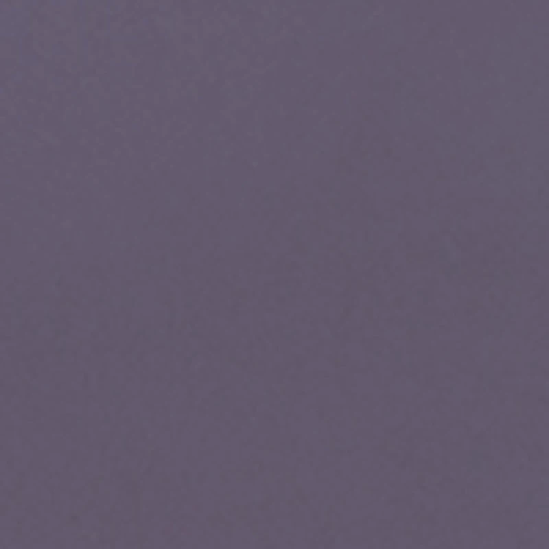 Rimless Shield Sunglasses with Metallic Clover Detail