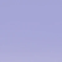 Metallic Floral Detail Rimless Sunglasses