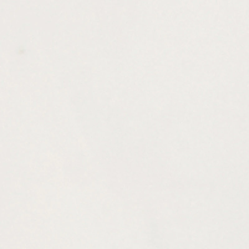 Solid Press On Pedicure Toenails