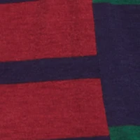 Color Blocked Stripe Destination Graphic Polo Tee