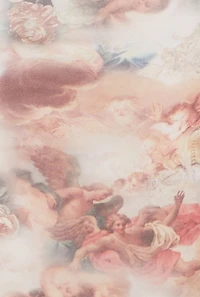 Almost Famous Mesh Printed Long Sleeve Maxi Dress