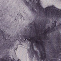 Printed Pattern Open Back Cowl Neck Mesh Maxi Dress