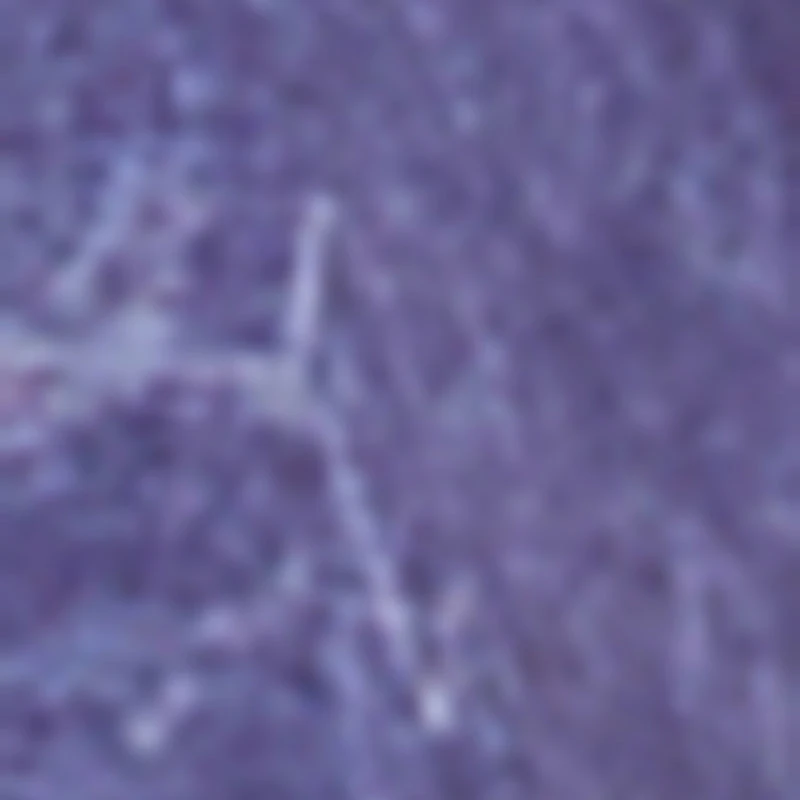 Rodeo Roundup Tie Back Top