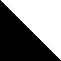 Contrast Fold Over Waistband Flared Pants