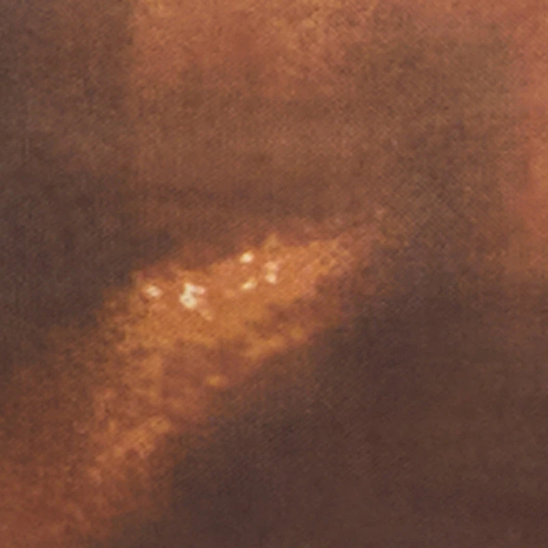 Patterned Mesh Lettuce Edge Crop Top