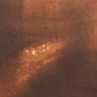 Patterned Mesh Lettuce Edge Crop Top