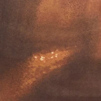 Patterned Mesh Overlay Maxi Skirt