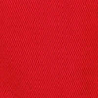 Toddler Boys Zipper Detail Moto Jeans