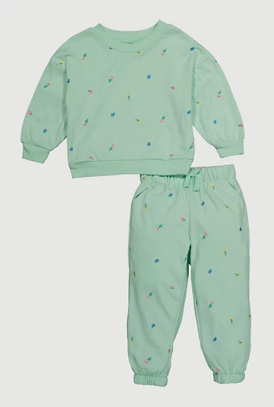 Toddler Girls Floral Sweatshirt and Joggers Set, Green, Size 4T