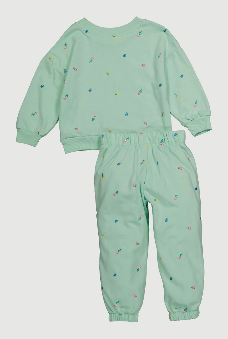 Toddler Girls Floral Sweatshirt and Joggers Set, Green, Size 4T