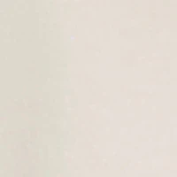 Toddler Boys Chill Tiger Graphic Tee and Cargo Pants