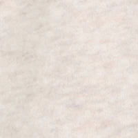 Toddler Boys Levi 73 Print Sweatshirt and Sweatpants