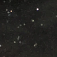 Baby Girls 12-24M Cat Sequin Velour Hoodie and Joggers