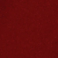 Baby Boys 12-24M Graphic Hooded Shirt and Sweatpants