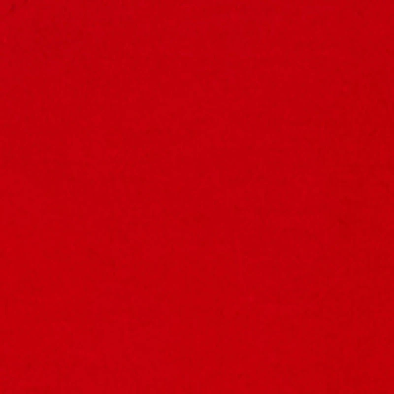 Baby Boys 0-9M Stay Fresh Bear Graphic Tee and Jean Jacket