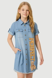 Girls Chenille Perfect Bear Graphic Frayed Hem Shirt Dress, Blue,