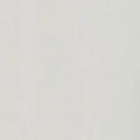 Little Boys Fight Hard Never Surrender Bear Graphic Tee